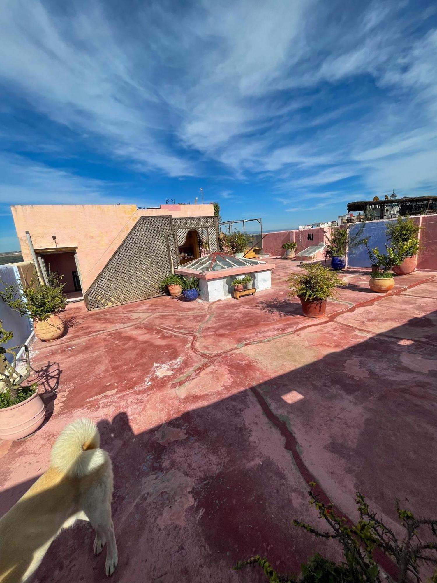 La Maison Haute Larache Morocco Екстериор снимка